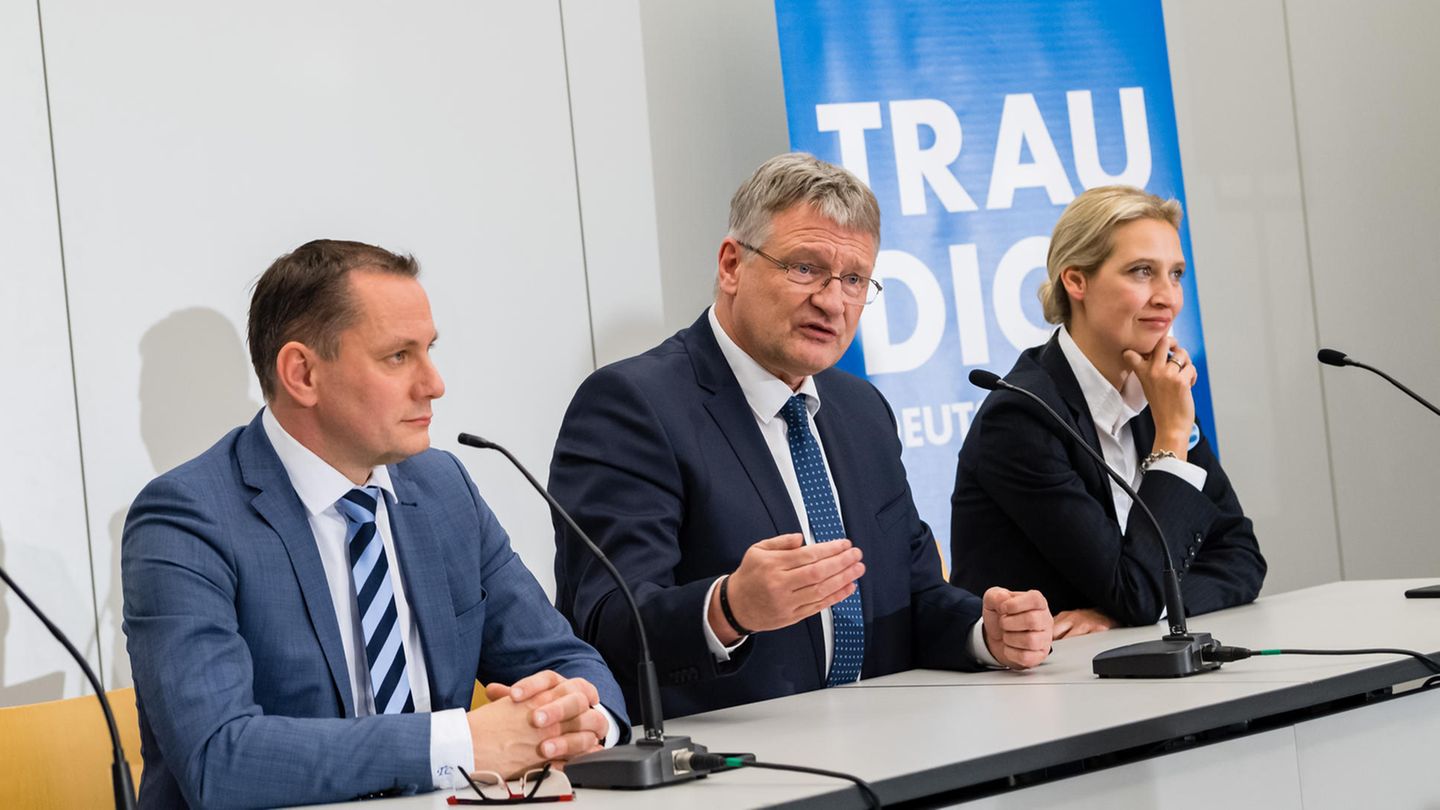 Die beiden AfD-Vorsitzenden Tino Chrupalla (l.) und Jörg Meuthen, rechtsaußen sitzt die Bundesfraktionsvorsitzende Alice Weidel