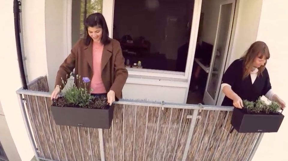 Die Blumenexpertin gibt Tipps, wie man seinen Balkon richtig bepflanzt Die Blumenexpertin gibt Tipps, wie man seinen Balkon richtig bepflanzt