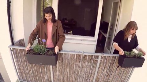 Die Blumenexpertin gibt Tipps, wie man seinen Balkon richtig bepflanzt