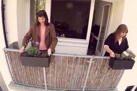 Die Blumenexpertin gibt Tipps, wie man seinen Balkon richtig bepflanzt