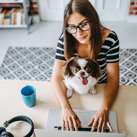 Home-Office