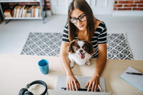 Home-Office