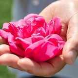 Heilgarten bei Weleda