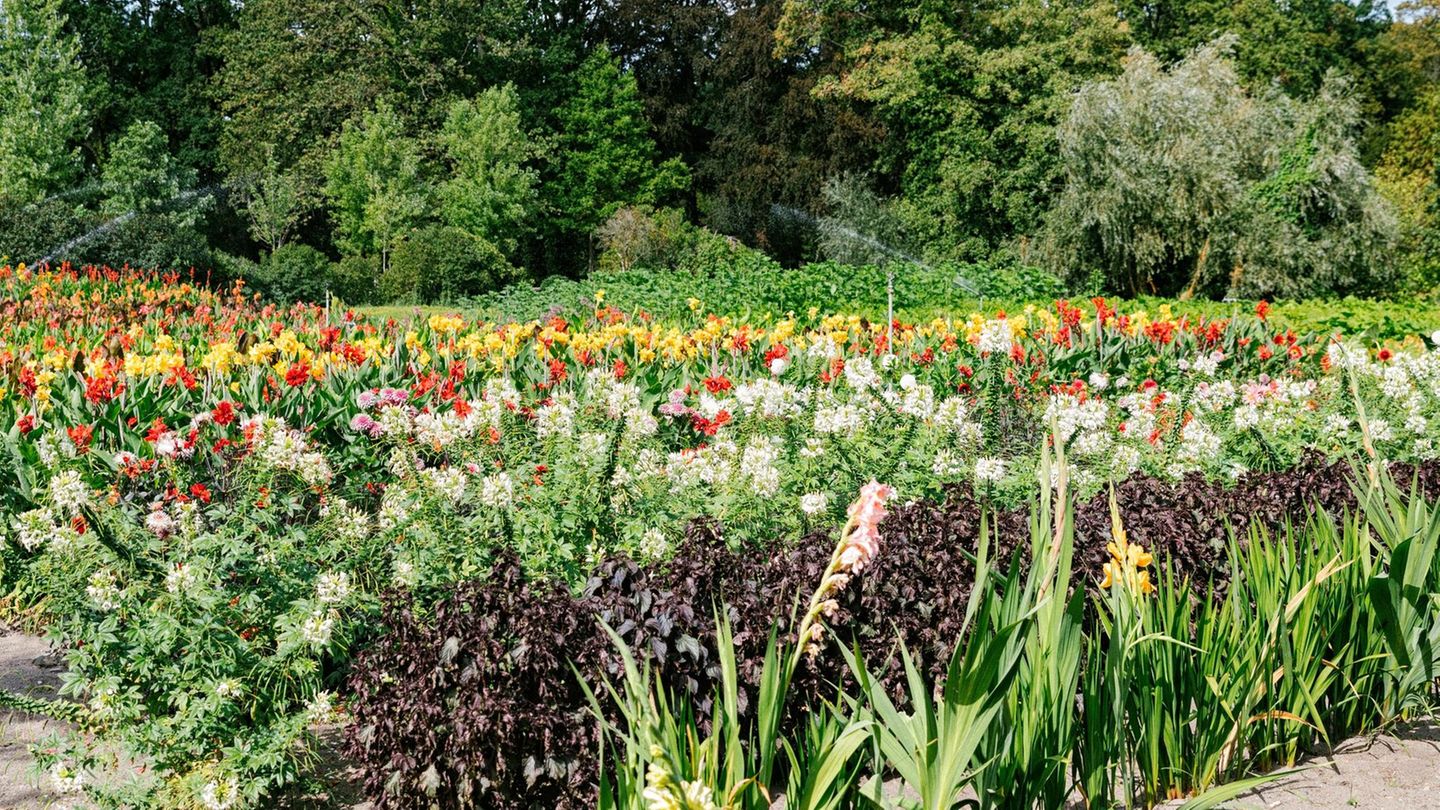 Schlosspark von Sanssouci in Potsdam