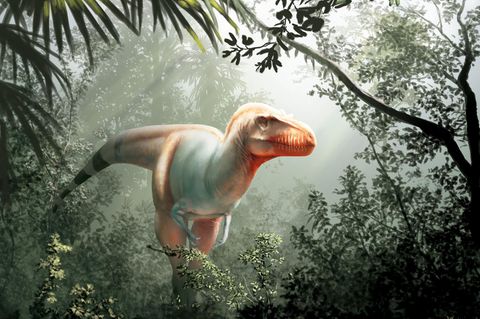 Der Saurier Thanatotheristes degrootorum in einer künstlerischen Darstellung