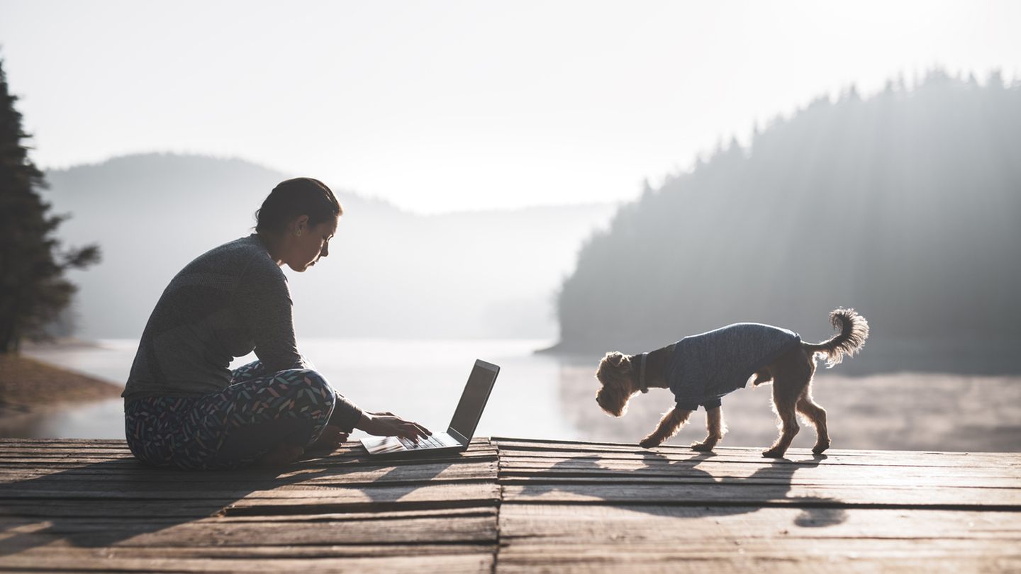 Laptoparbeit im Freien