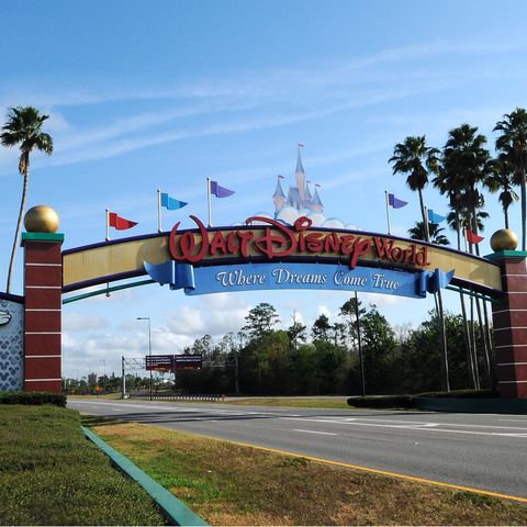 Florida: "Disney World": 42-jähriger Abenteurer campiert mehrere Tage auf einsamer Insel