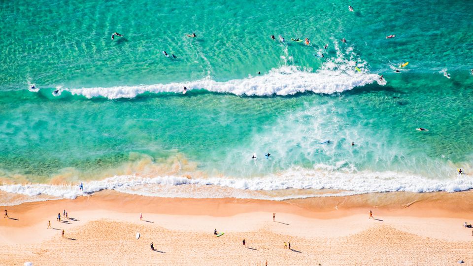 Bondi Beach in Australien: Der bekannteste Strand von Sydney: Bondi Beach im Osten der Stadt ist auch der Surfspot Der bekannteste Strand von Sydney: Bondi Beach im Osten der Stadt ist auch der Surfspot