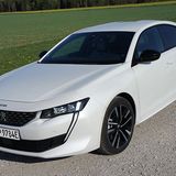 Rein elektrisch schafften wir 31 Kilometer