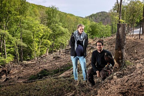 Wildpark Schmidt