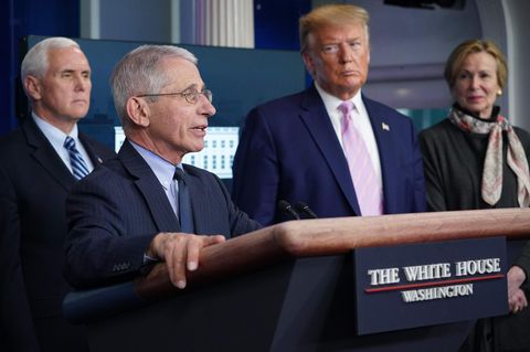 Donald Trump Mike Pence Anthony Fauci Deborah Birx