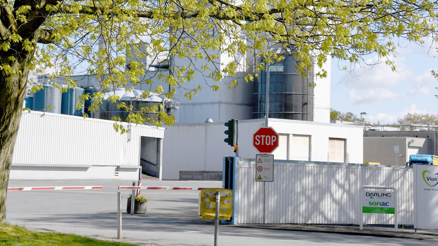 Unter einem frisch grünen Baum sind zwei geschlossene Halbschranken zu sehen: Die Einfahrt zum Schlachthof in Bad Bramstedt