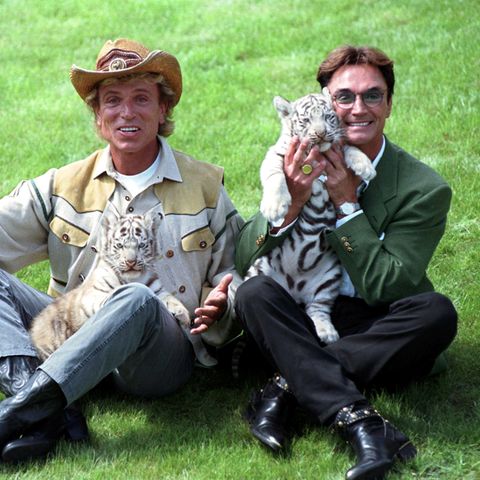 Die deutschen Magier Siegfried (l.) und Roy, im "Hollywood-Safari-Park" mit zwei weißen Tiger-Jungen