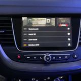 Bei der Rückfahrkamera stehen verschiedene Modi zur Verfügung, die man manuell wählen kann