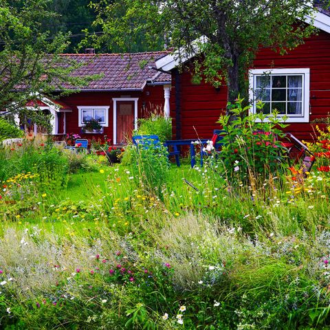 Vitamin N wie Natur: Warum uns gerade jetzt ein Garten so gut tut – und wie Profis ihn anlegen