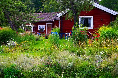 Vitamin N wie Natur: Warum uns gerade jetzt ein Garten so gut tut – und wie Profis ihn anlegen