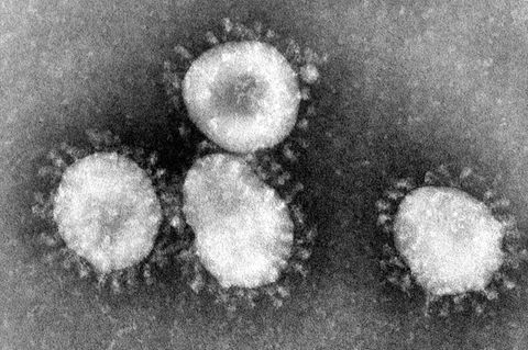 Coronavirus unter einem Mikroskop