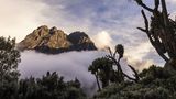 Margherita Peak, Uganda  Der Mount Meru in Tansania ist ein beliebtes "Warm-up" für Trekker, die seinen größeren Cousin, den Kilimandscharo, in Angriff nehmen wollen. Eine mehr als einwöchige Trekkingroute führt vom Trailhead des Nationalparks zum Margherita Peak, dem dritthöchsten Berg Afrikas, und dann als Rundweg zurück.