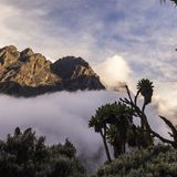 Margherita Peak, Uganda  Der Mount Meru in Tansania ist ein beliebtes "Warm-up" für Trekker, die seinen größeren Cousin, den Kilimandscharo, in Angriff nehmen wollen. Eine mehr als einwöchige Trekkingroute führt vom Trailhead des Nationalparks zum Margherita Peak, dem dritthöchsten Berg Afrikas, und dann als Rundweg zurück.