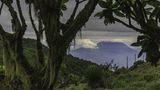 Parc Nacional des Vulcans, Ruanda  Der grüne Dschungel im ruandischen Parc National des Volcans bietet den vom Aussterben bedrohten Berggorillas eine Zuflucht. Hier gibt es einen Rundweg, der sich an einem Tag bewältigen lässt - Tierbeobachtungen inklusive.