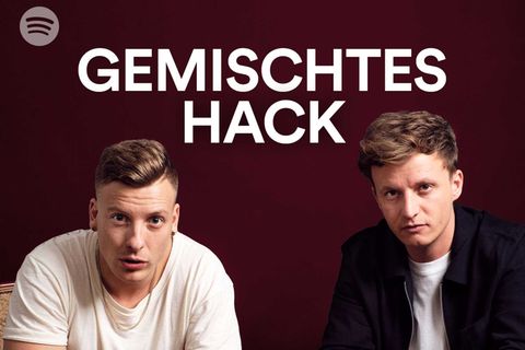 Gemischtes Hack