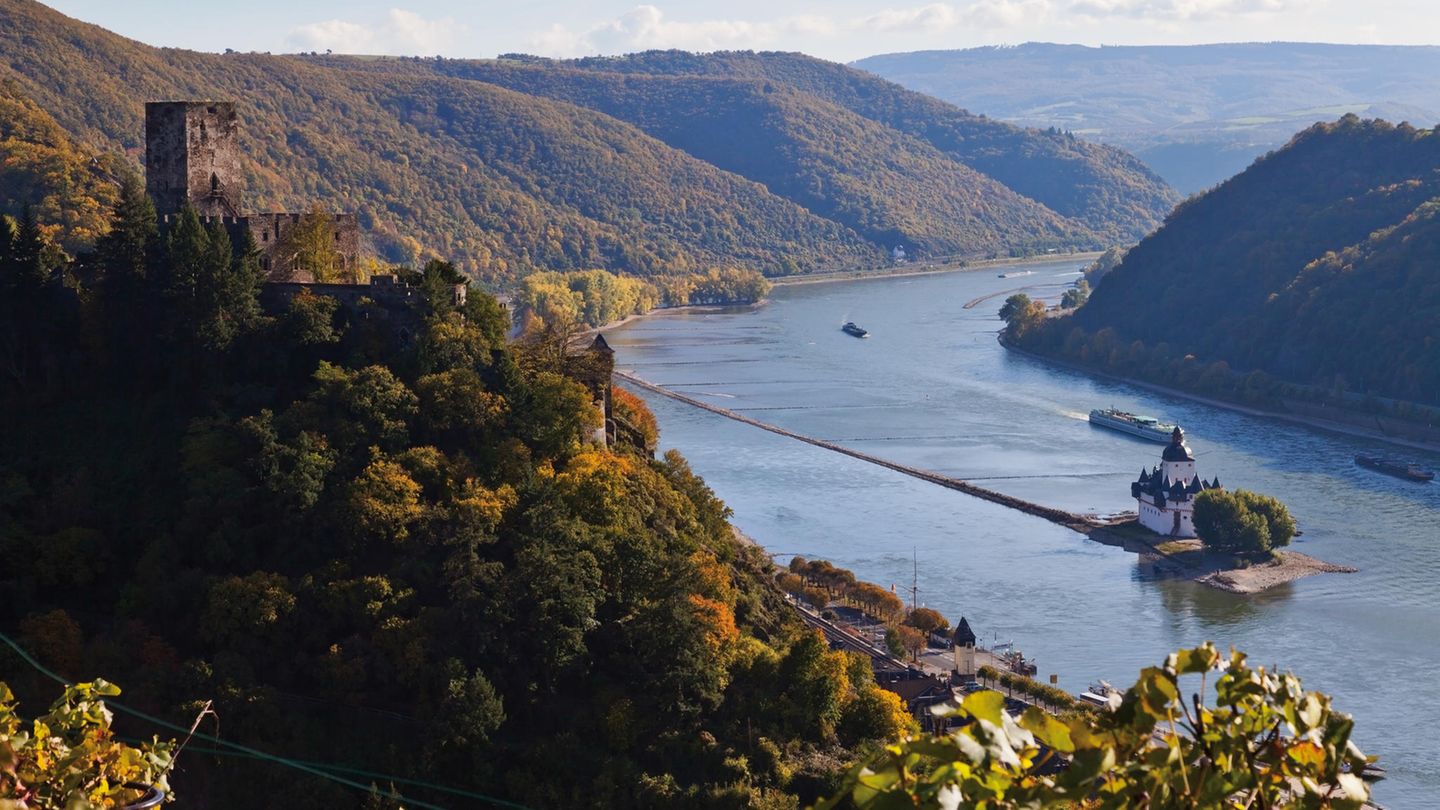 Blick auf die Burg Gutenfels bei Kaub