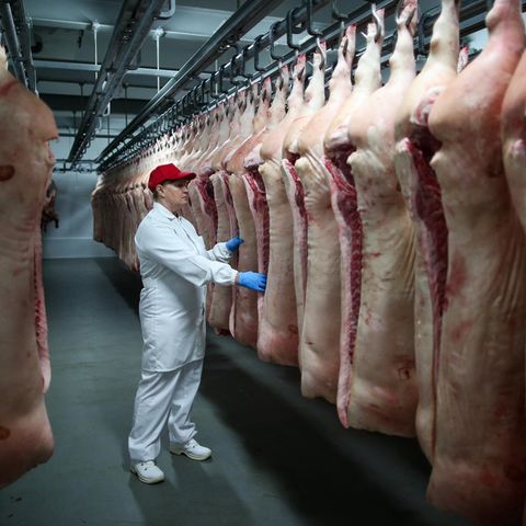 Fleischindustrie: "Eine absehbare Katastrophe": Warum das Coronavirus in Schlachthöfen leichtes Spiel hat