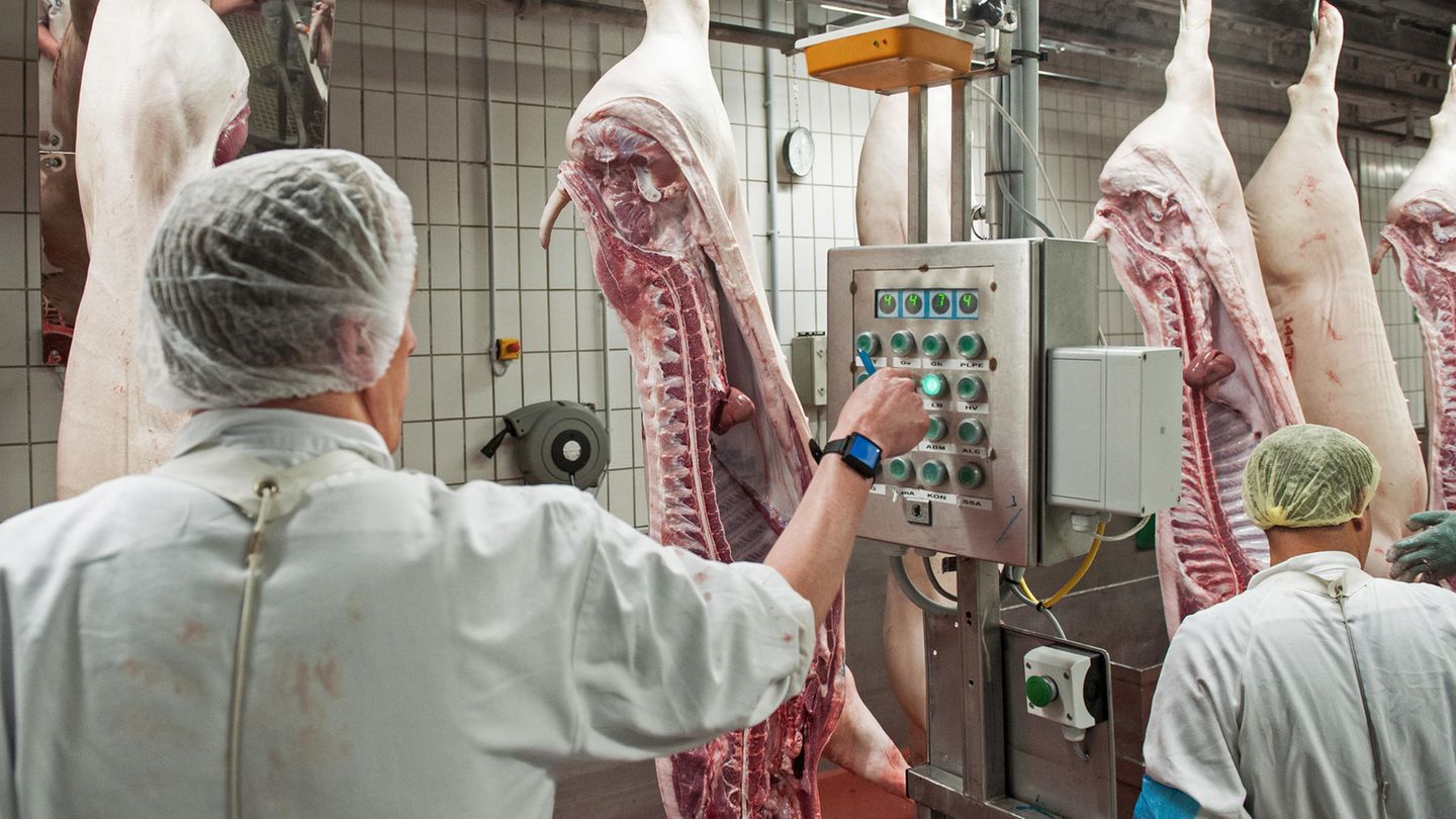 Fleischindustrie: "Eine absehbare Katastrophe": Warum das Coronavirus in Schlachthöfen leichtes Spiel hat