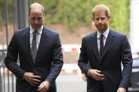 Prinz William und Prinz Harry