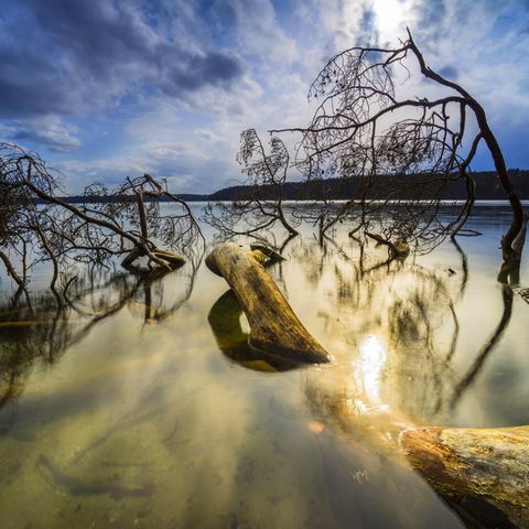 Großer Stechlinsee