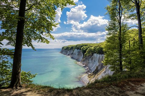 Kreidefelsen auf Rügen