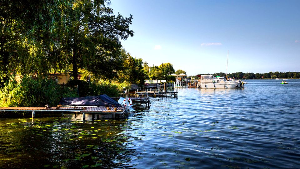 Die Havel ist eines der größten Naturschutzprojekte Europas STERN.de