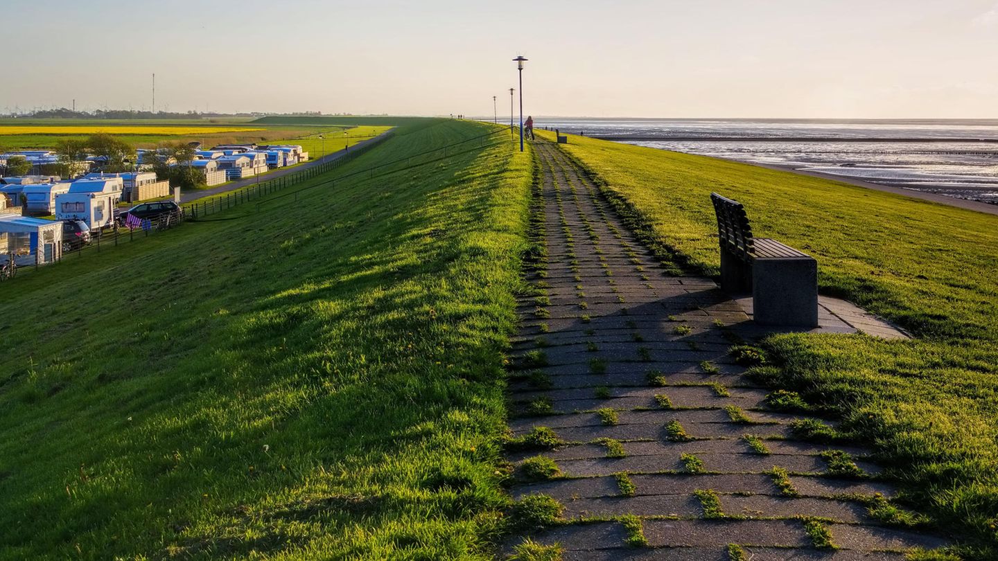 Auslands-Urlaubsziele vor dem Neustart: Niederlande Der Holland-Urlaub wird wieder möglich. Schon jetzt öffnen stufenweise Bungalowparks ihre Tore und werden auch wieder Ferienwohnungen vermietet. Ab dem 1. Juli sollen dann alle Campingplätze und Ferienparks wieder voll geöffnet werden. Bisher galt das nur eingeschränkt. So mussten etwa auf Campingplätzen Duschen und WCs geschlossen bleiben. Die sanitären Einrichtungen werden ab 1. Juli auch an Stränden und in Naturparks wieder geöffnet. Museen dürfen ab 1. Juni wieder Besucher empfangen - vorausgesetzt, sie melden sich vorher online an. Auch Restaurants, Cafés, Strandpavillons und Kneipen dürfen jeweils maximal 30 Gäste bewirten. Ab Juli sind dann bis zu 100 Gäste erlaubt. Niederlande Der Holland-Urlaub wird wieder möglich. Schon jetzt öffnen stufenweise Bungalowparks ihre Tore und werden auch wieder Ferienwohnungen vermietet. Ab dem 1. Juli sollen dann alle Campingplätze und Ferienparks wieder voll geöffnet werden. Bisher galt das nur eingeschränkt. So mussten etwa auf Campingplätzen Duschen und WCs geschlossen bleiben. Die sanitären Einrichtungen werden ab 1. Juli auch an Stränden und in Naturparks wieder geöffnet. Museen dürfen ab 1. Juni wieder Besucher empfangen - vorausgesetzt, sie melden sich vorher online an. Auch Restaurants, Cafés, Strandpavillons und Kneipen dürfen jeweils maximal 30 Gäste bewirten. Ab Juli sind dann bis zu 100 Gäste erlaubt.