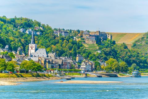 9-Euro-Ticket: Rebhänge und Wälder, Burgen und Städtchen: So malerisch ist der Rheinsteig