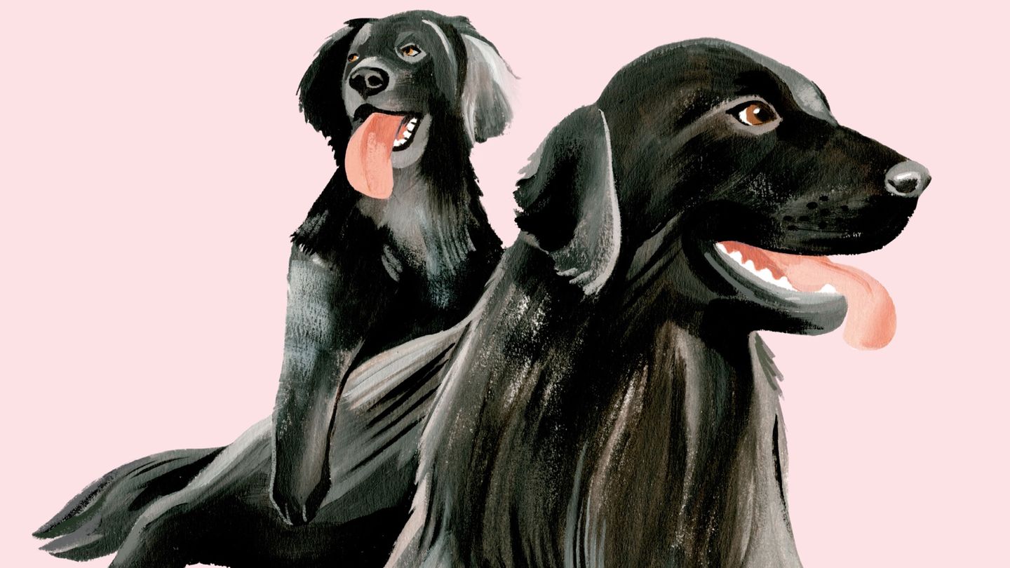Zwei illustrierte Hunde mit heraushängender Zunge