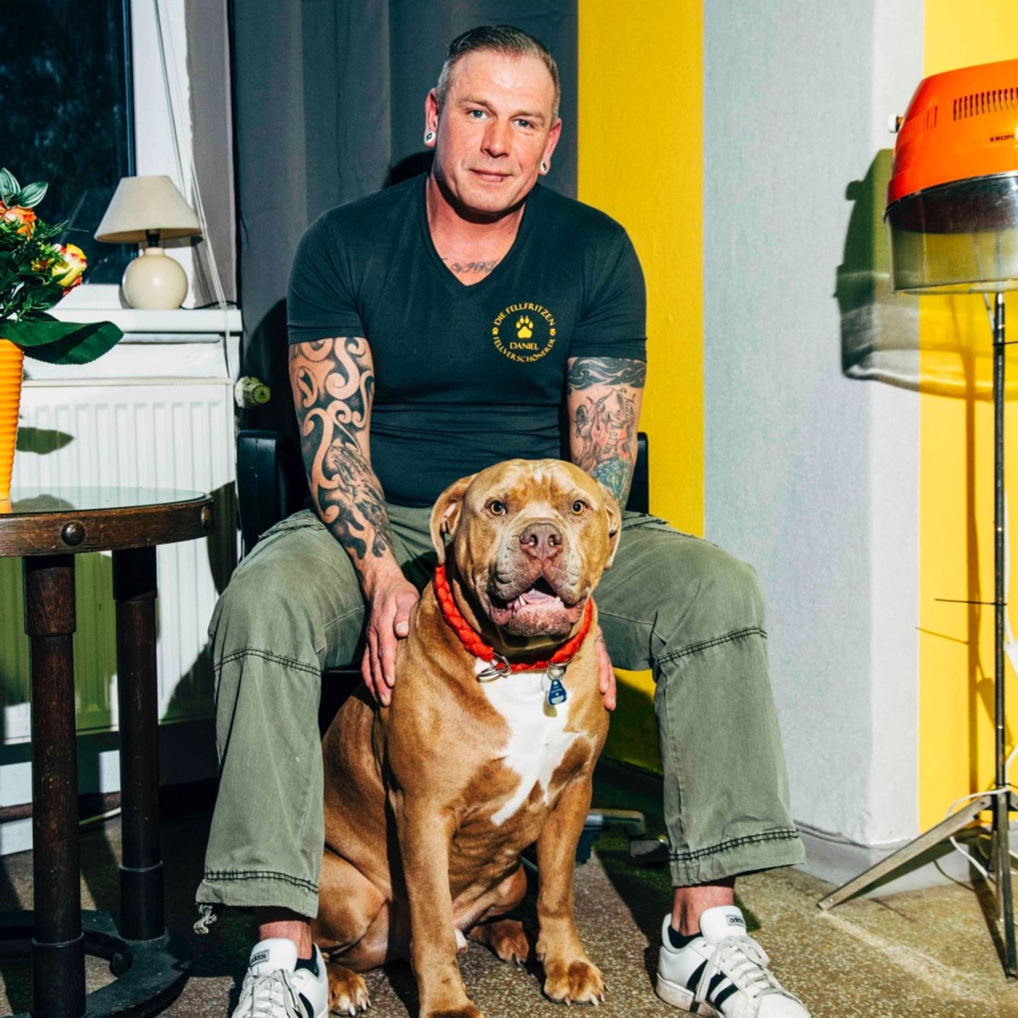 Deutschlands Ersten Friseursalon Fur Mensch Und Hund Gibt S In Potsdam Stern De