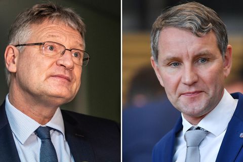 Jörg Meuthen (l.) und Björn Höcke