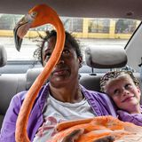 Odette hält ihren Assistenten Bob während der Fahrt zu einem Vortrag