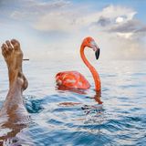 Jasper Doest und Bob