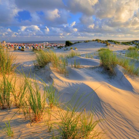 Dünen am Hauptstrand
