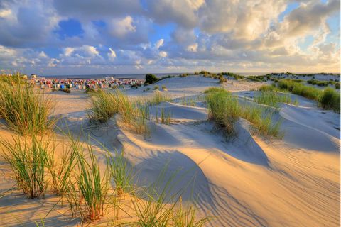 Dünen am Hauptstrand