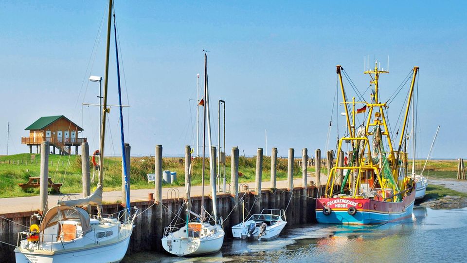Seglerhafen Seglerhafen