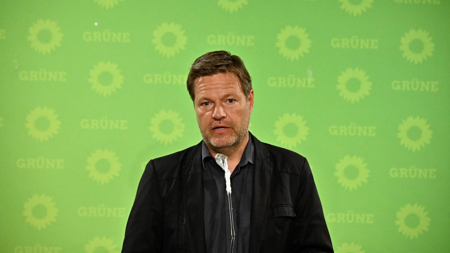 Robert Habeck spricht vor einer grünen Wand