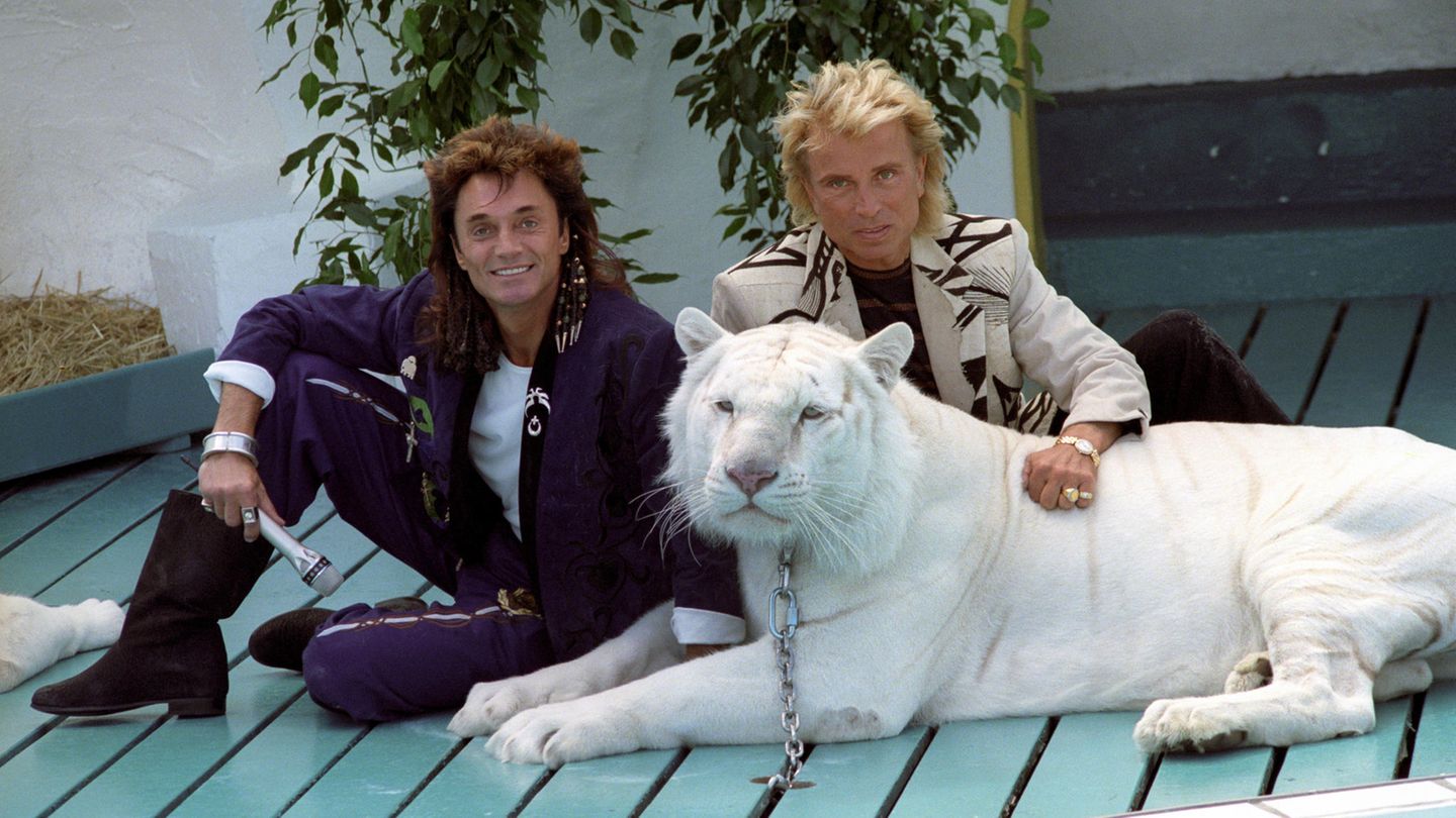 Roy Horn und Siegfried Fischbacher mit einem ihrer weißen Tiger Anfang der Neunziger