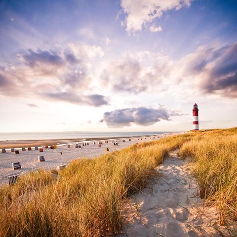 Der Strand auf Amrum