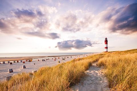Der Strand auf Amrum