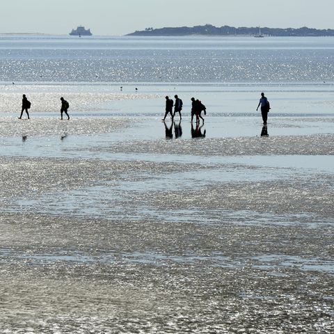 An der Nordseee: Am Strand bei Nieblum auf der Insel Föhr gehen Ausflügler bei strahlendem Sonnenschein am Strand spazieren