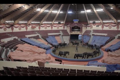 Circus Krone: Ungewisse Zukunft nach der Corona-Krise?