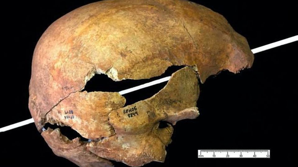 Archäologie: Dieser Pfeil durchschlug den Schädel. Dieser Pfeil durchschlug den Schädel.