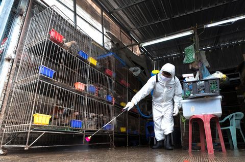Ein Arbeiter sprüht auf dem Chatuchak-Markt Desinfektionsmittel als Vorsichtsmaßnahme gegen die Verbreitung des Coronavirus